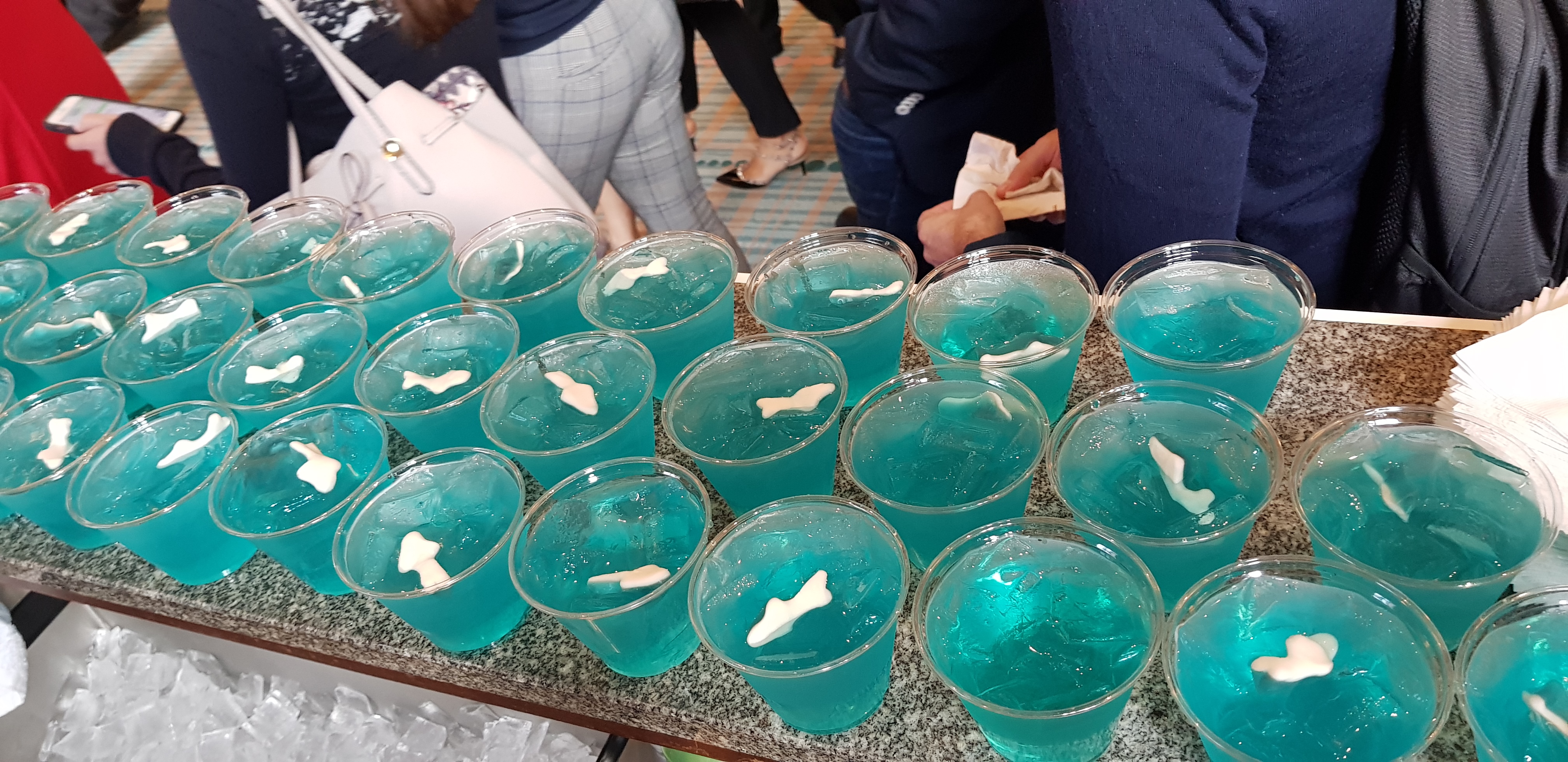 Shark Coctails